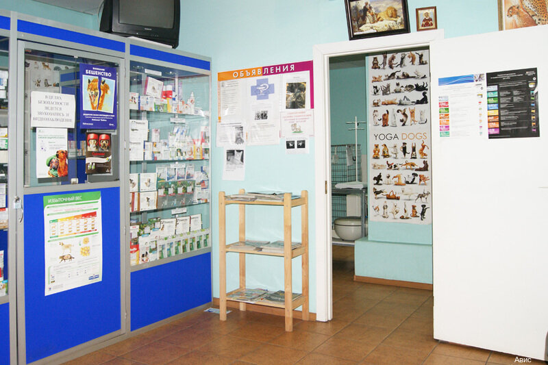 Фото клиники 36535