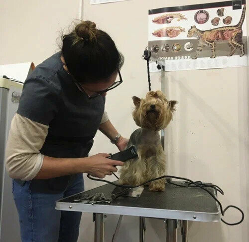 more clinic photos 47864