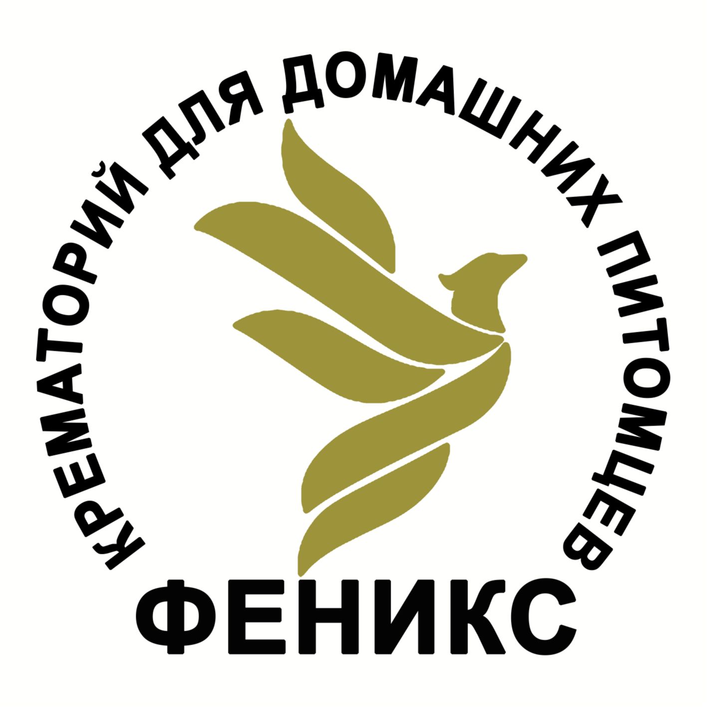 clinic logo