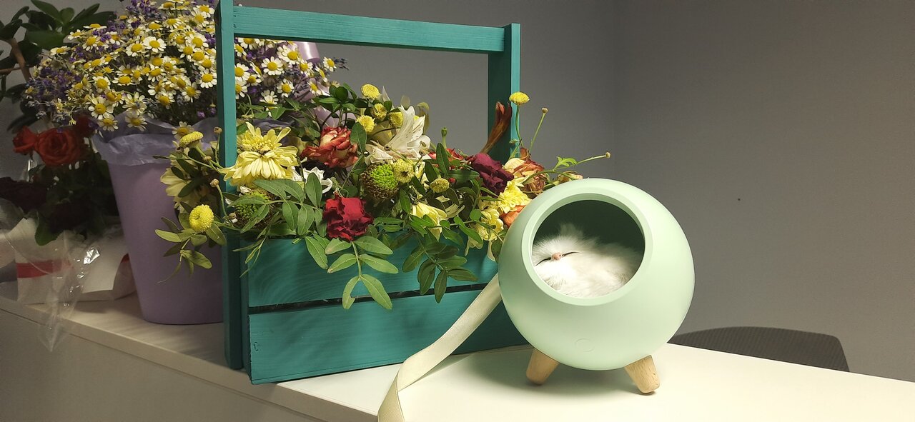 more clinic photos 69780