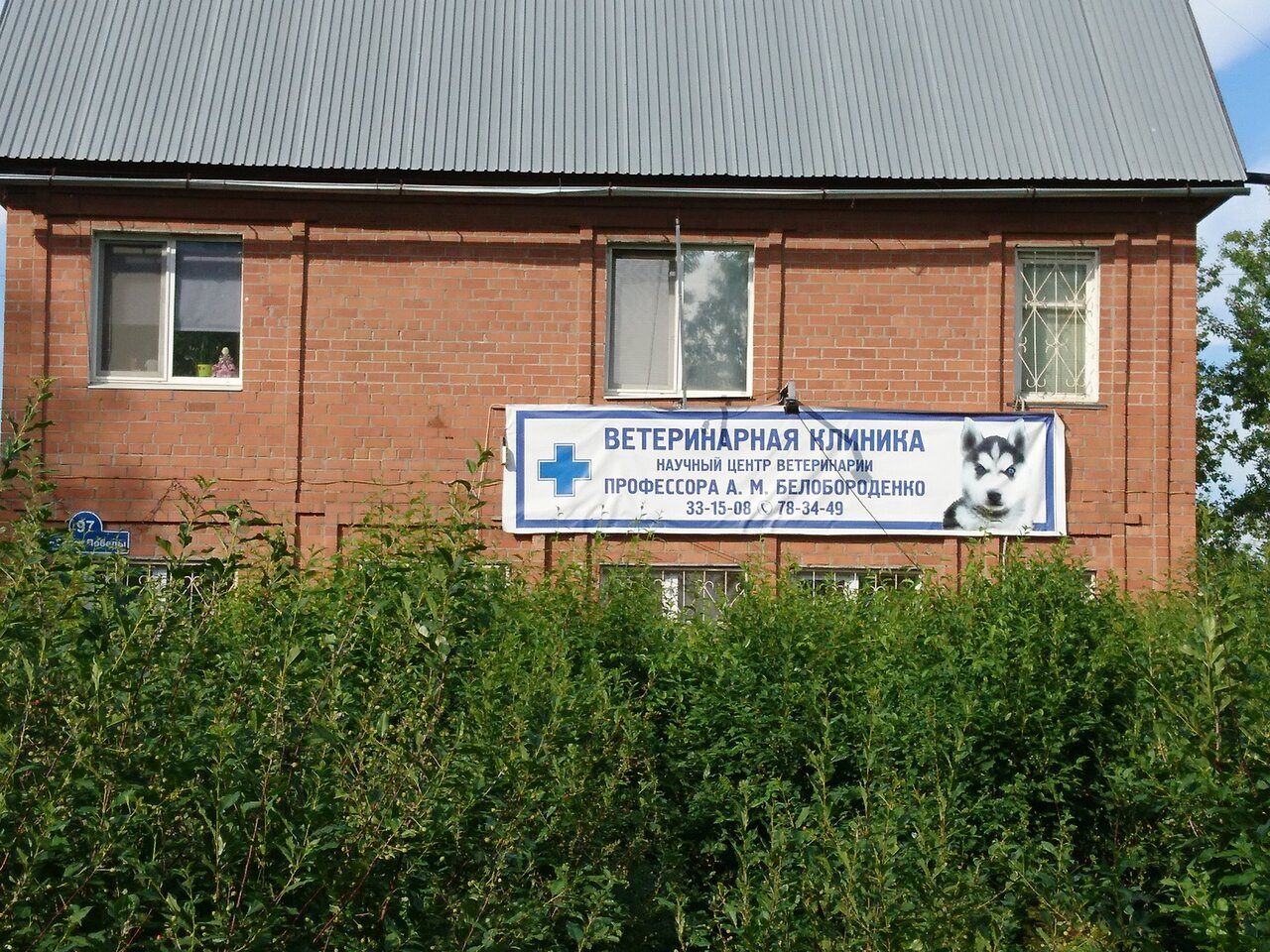 Фото клиники 61801