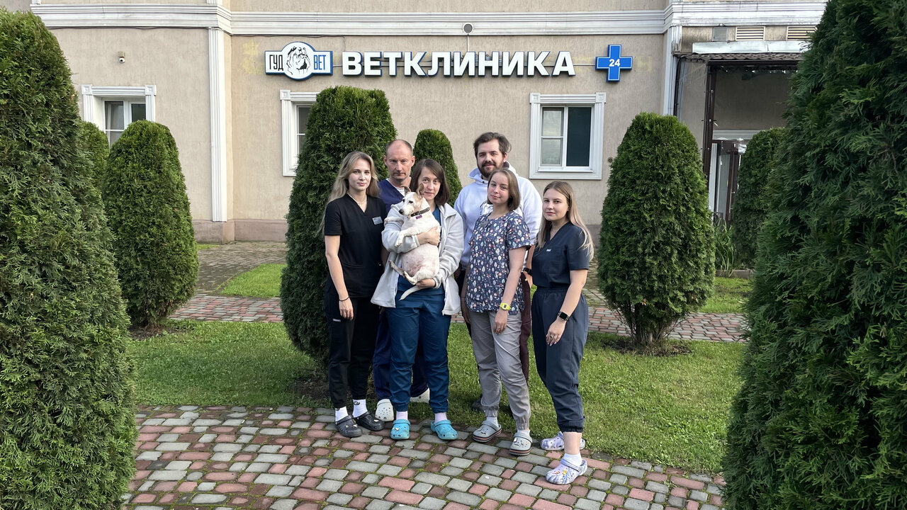 Фото клиники 68377