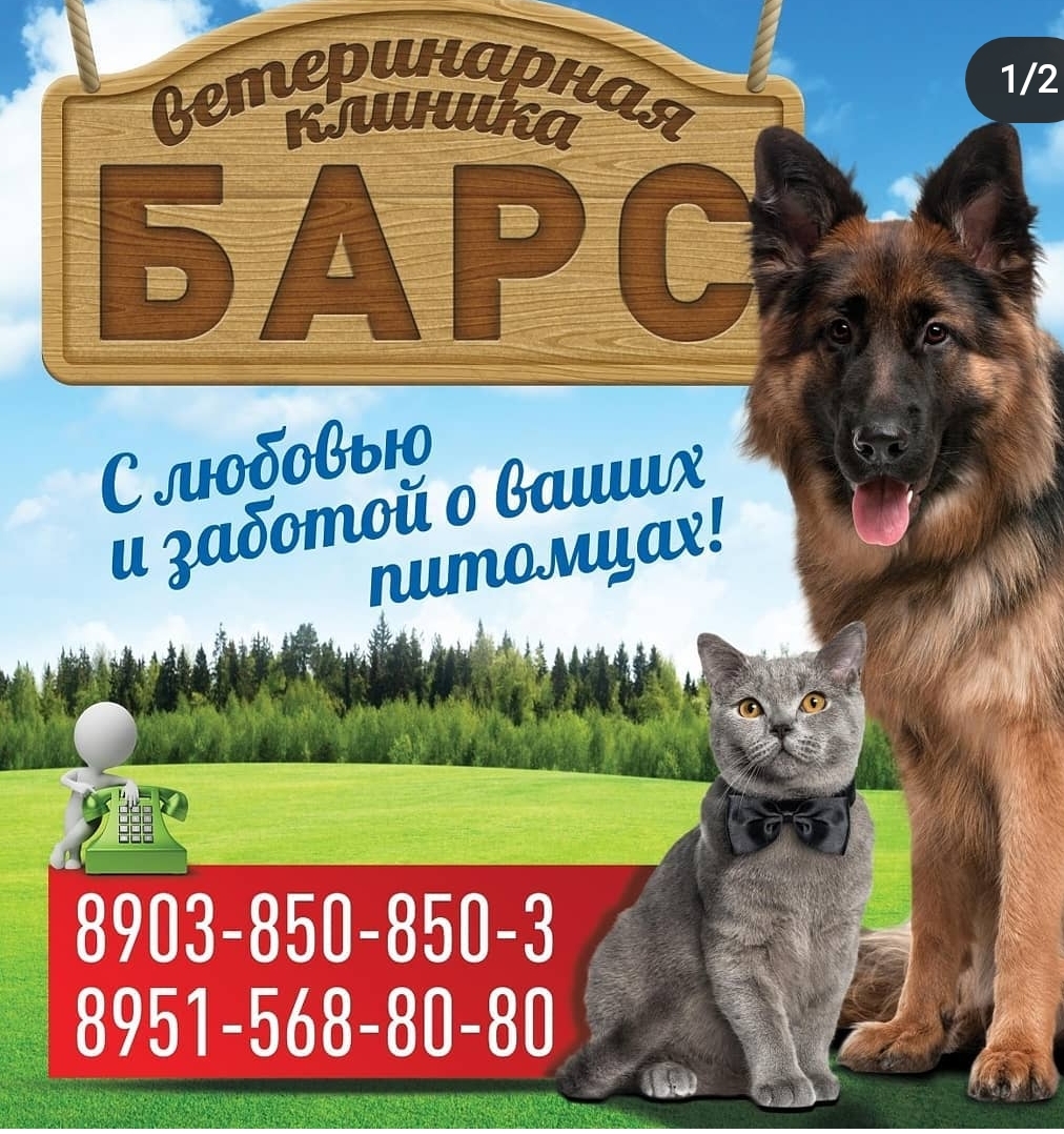 Логотип клиники