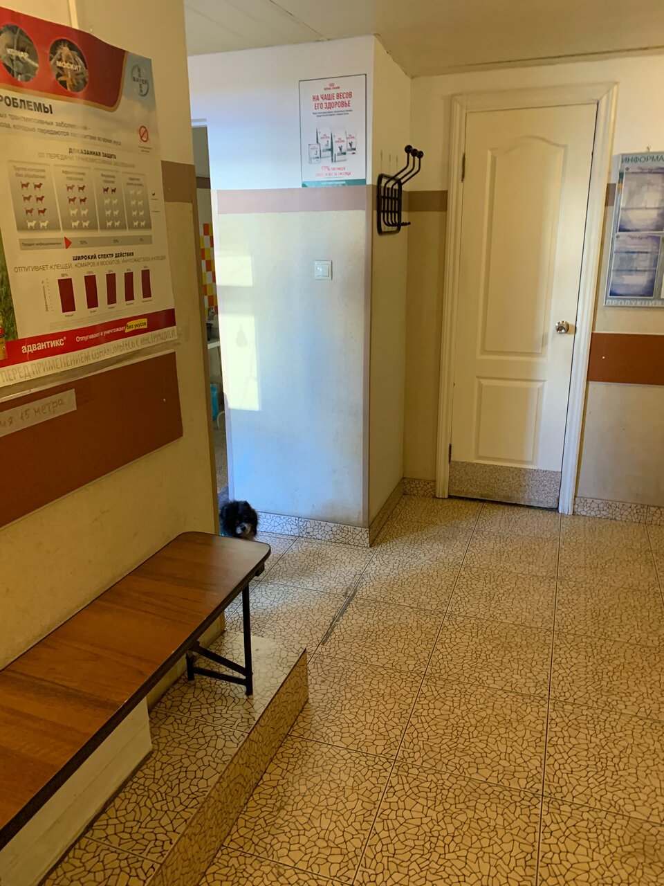 Фото клиники 57642