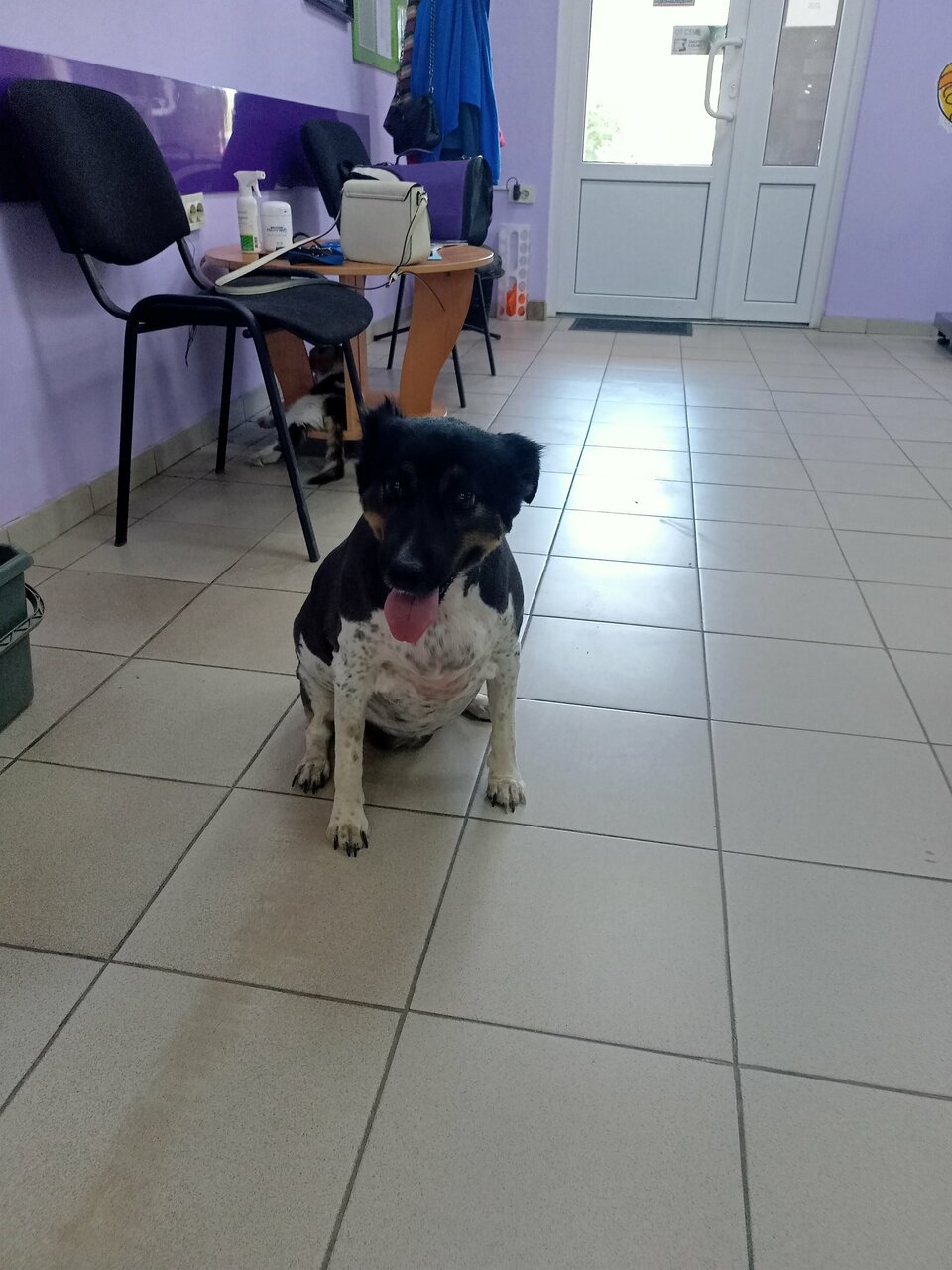 more clinic photos 9894