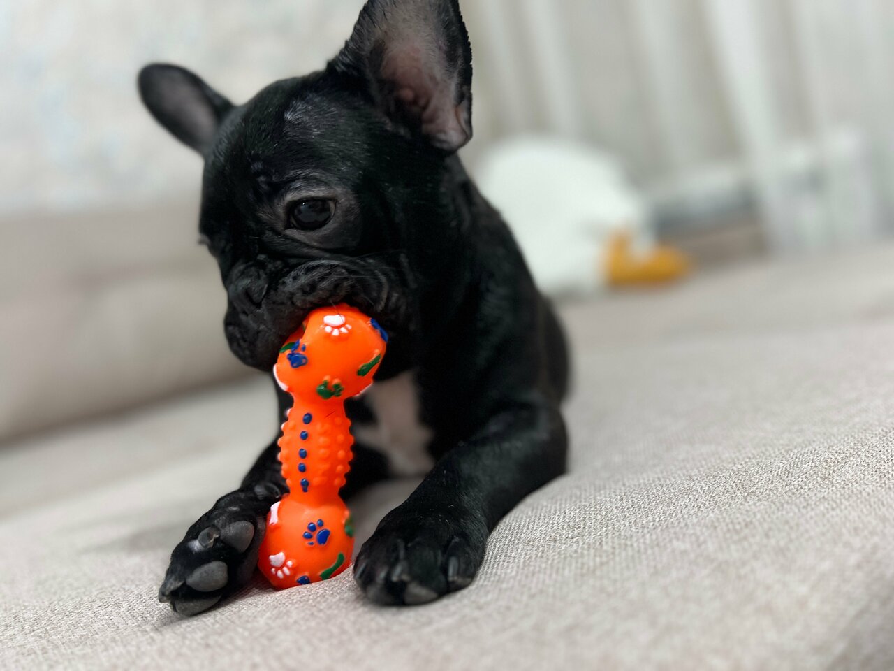 clinic general image