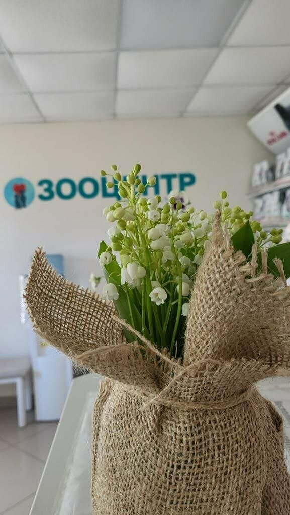 Фото клиники 49661