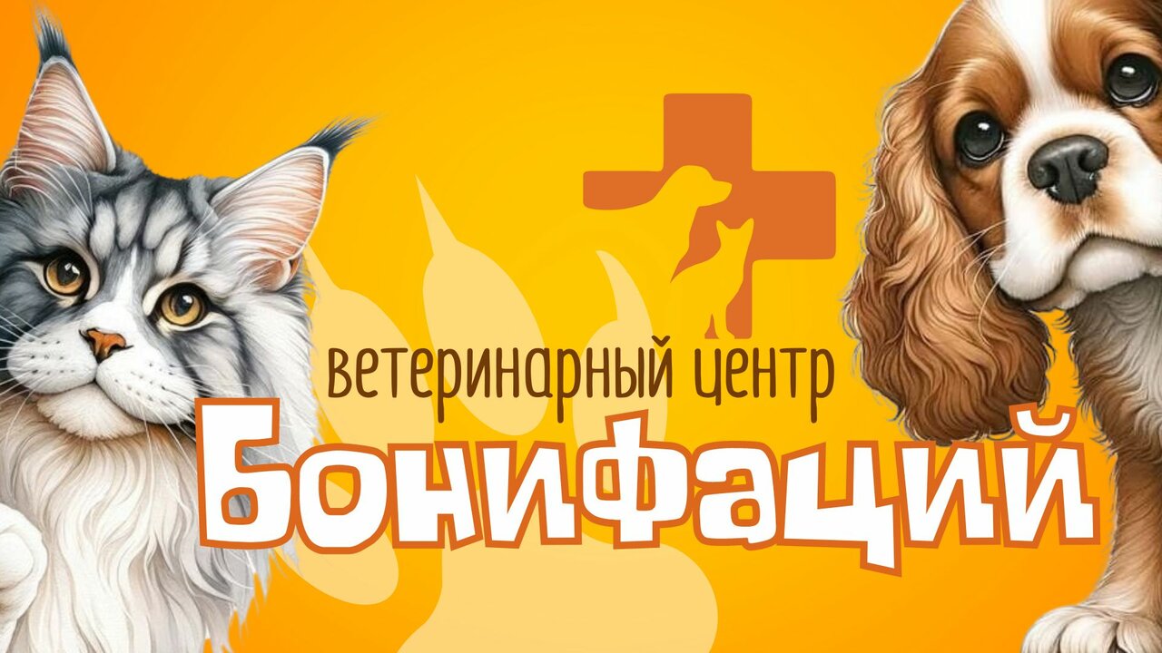 Фото клиники 11338