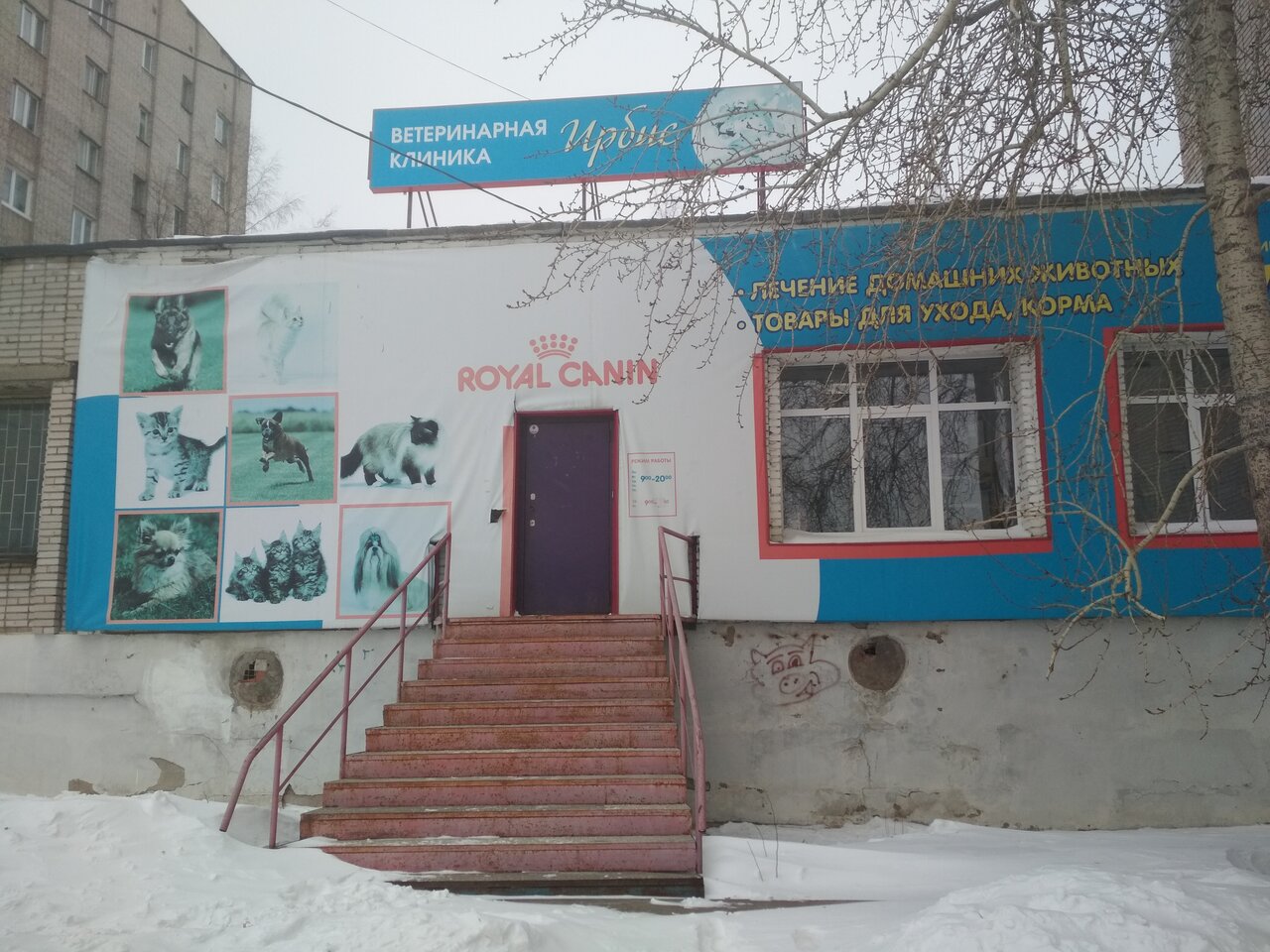 Фото клиники 43472