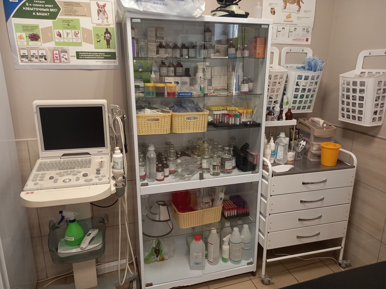 Свой доктор