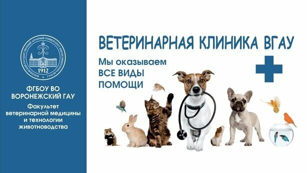 Зооветцентр ВГАУ