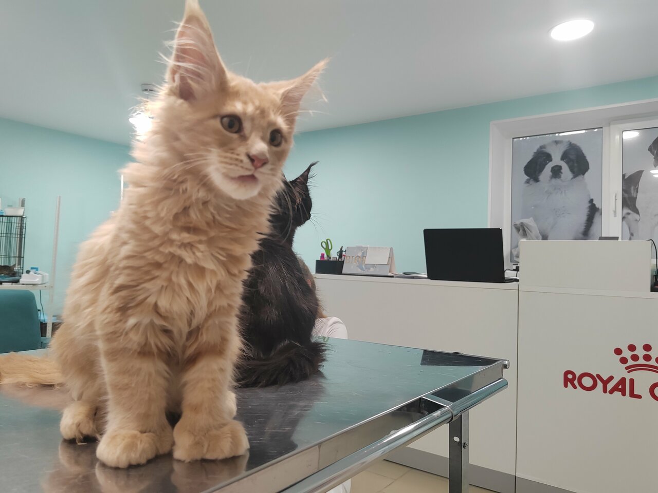 more clinic photos 17000