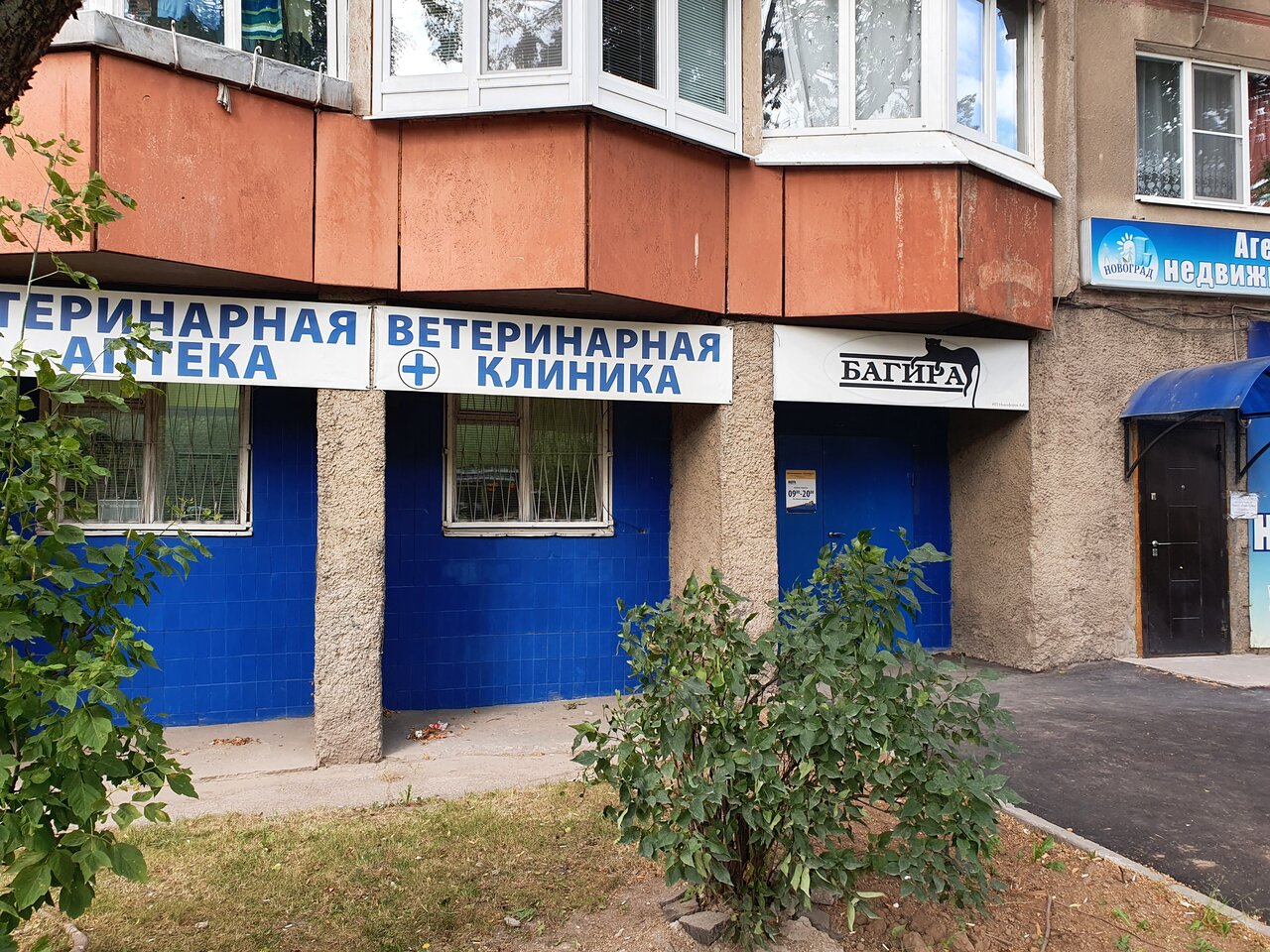 Фото «Багира»
