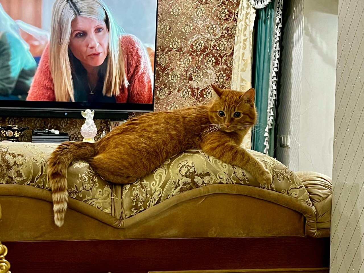 Территориальное ветеринарное управление № 5 Подольская участковая ветеринарная лечебница