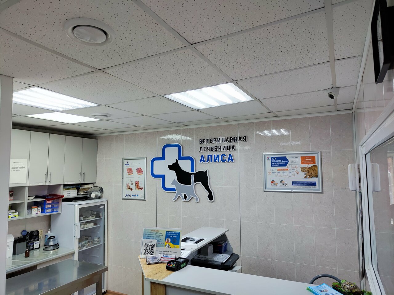 Ветеринарная лечебница Алиса