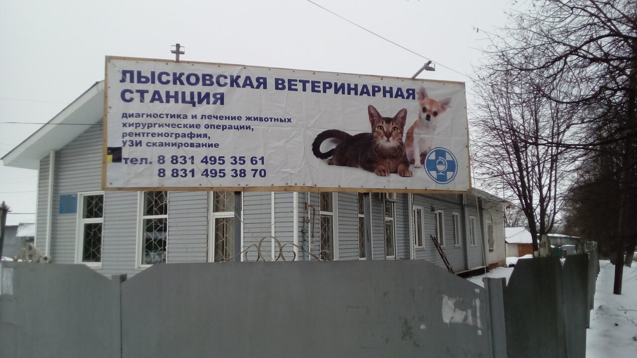 Лысковская ветеринарная станция
