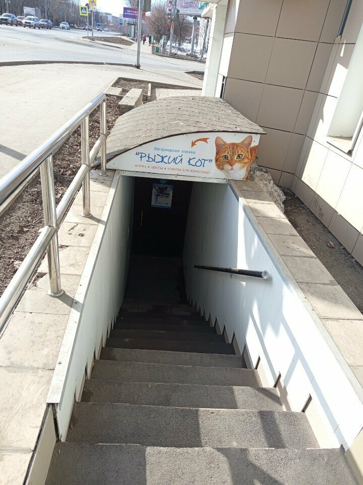 Фото клиники 3339