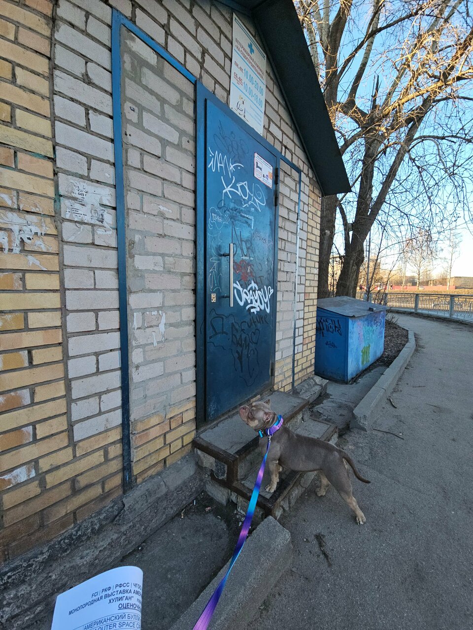 more clinic photos 62009