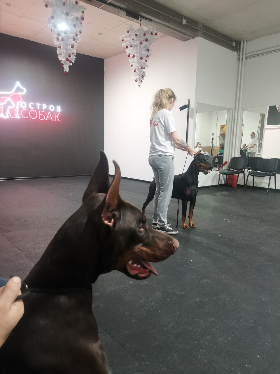 more clinic photos 10527