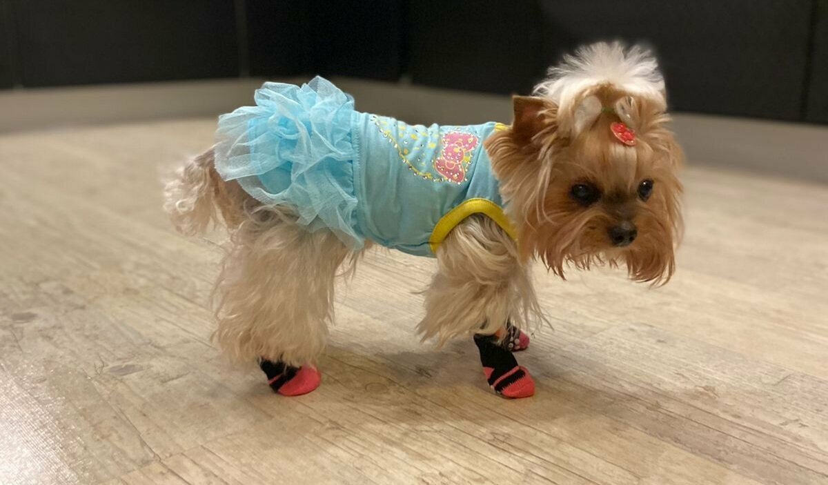 clinic general image