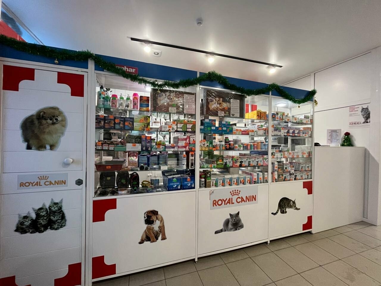 Мир животных