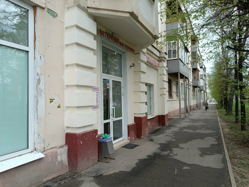 Фото «ЗооАкадемия»