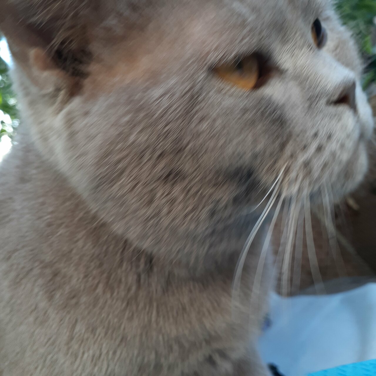 Доктор Лида