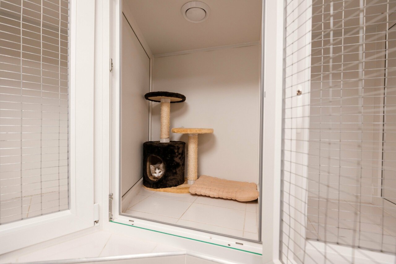 more clinic photos 57556