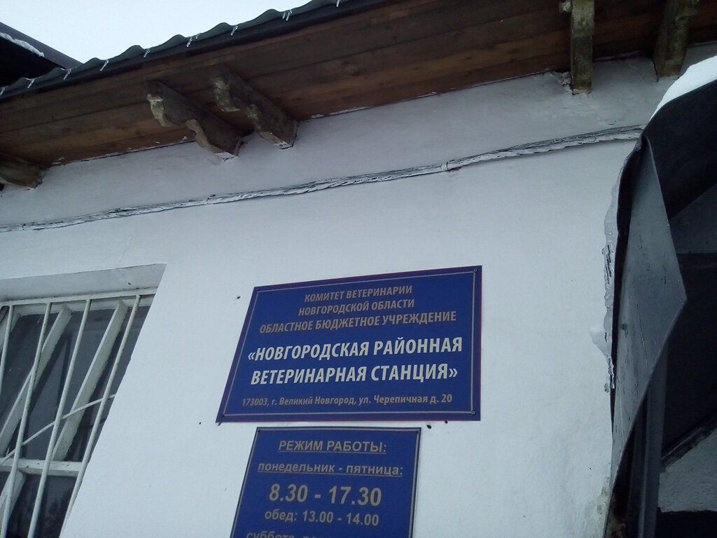 more clinic photos 8332