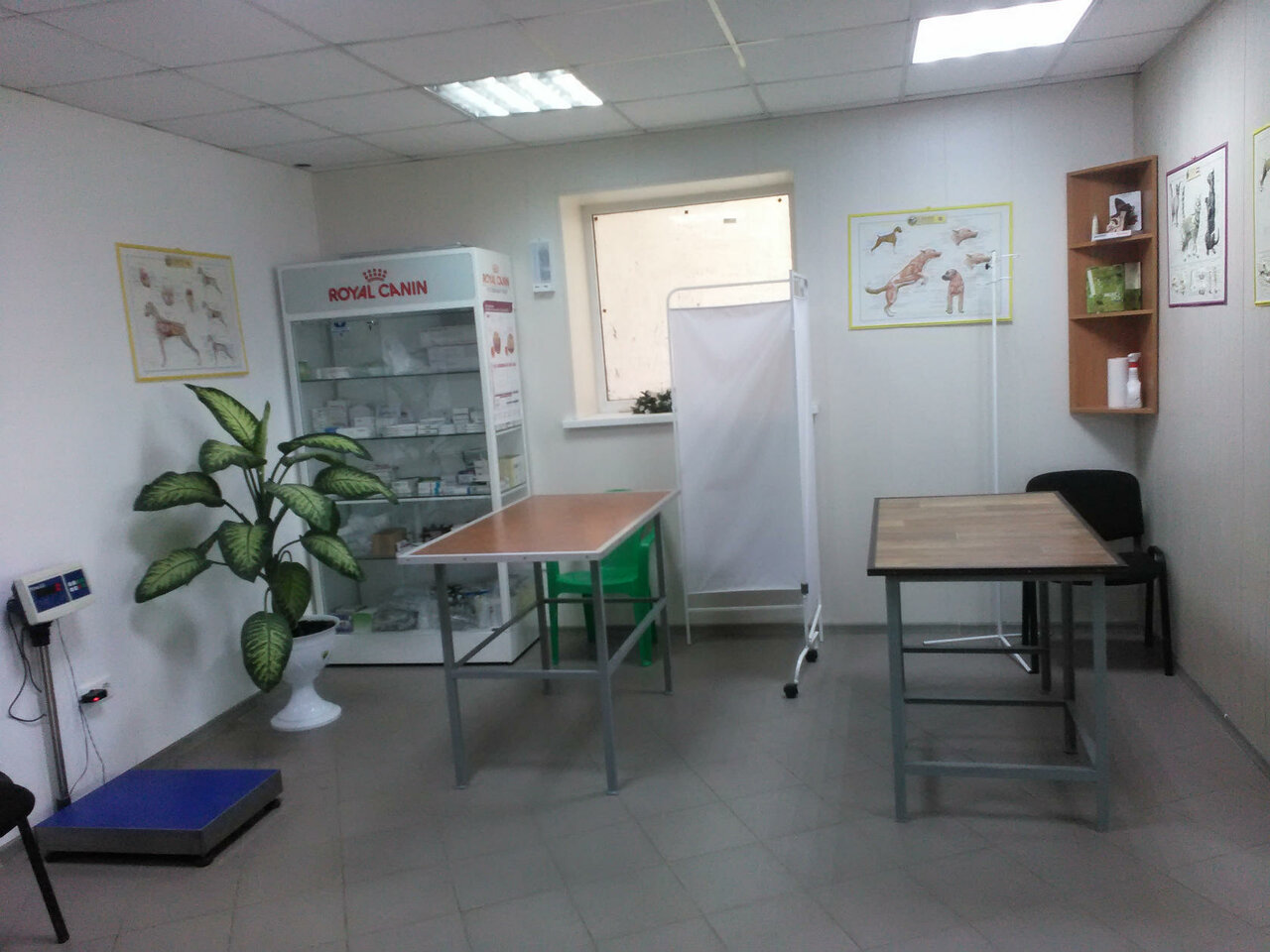 Фото клиники 42953