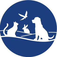 Логотип клиники