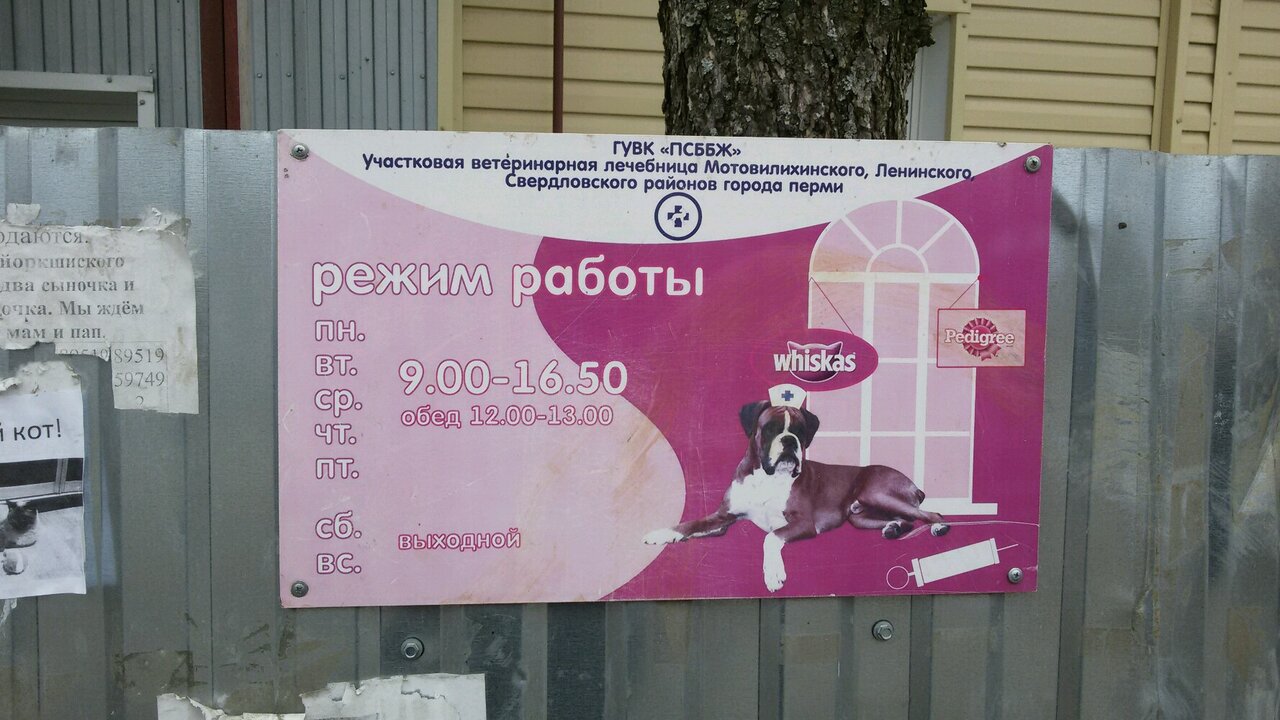 Фото клиники 44091