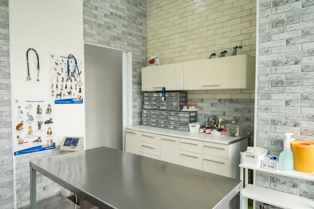 more clinic photos 17531