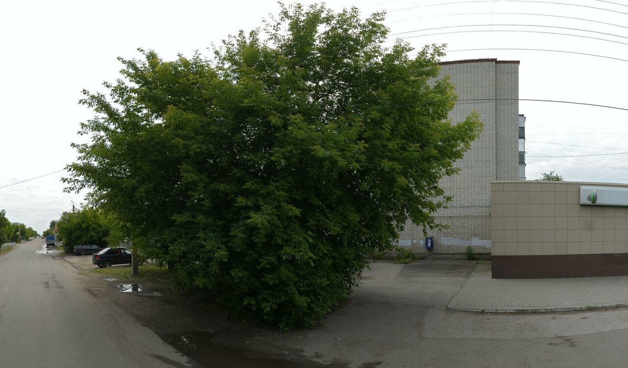 Ветеринарная клиника