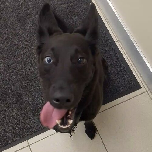 clinic general image