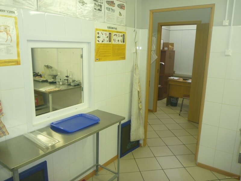 more clinic photos 33410