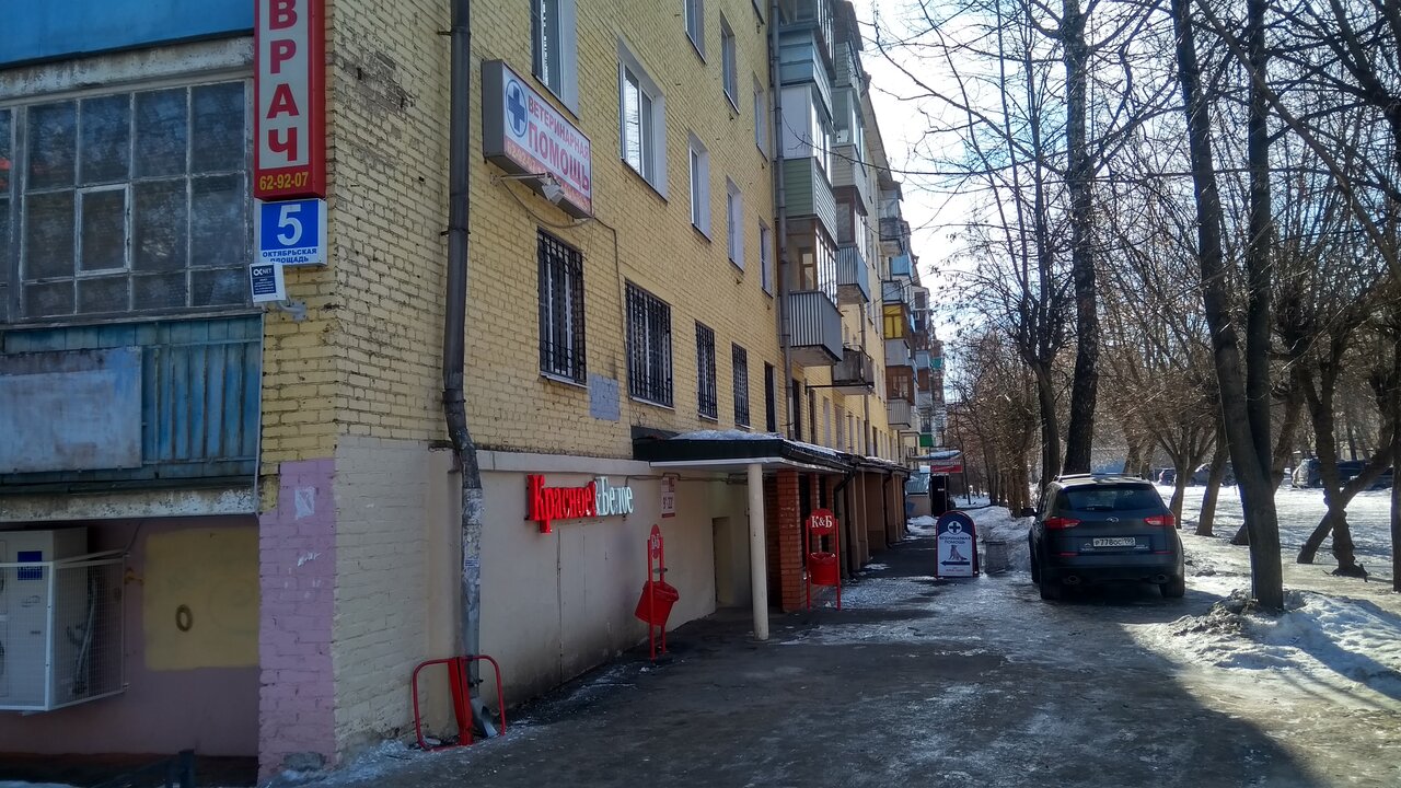 Фото клиники 36247