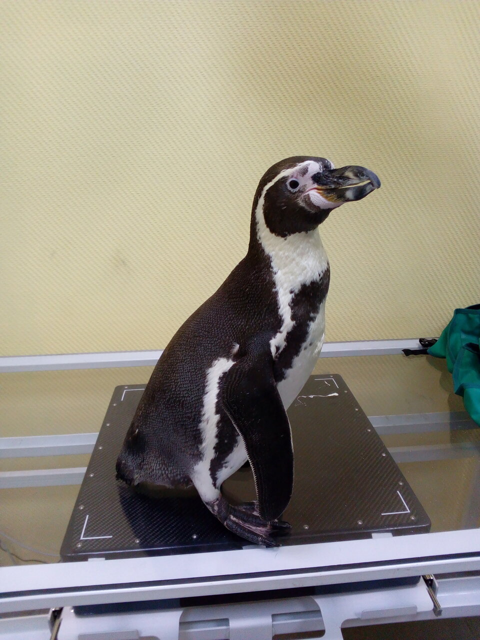 more clinic photos 22813