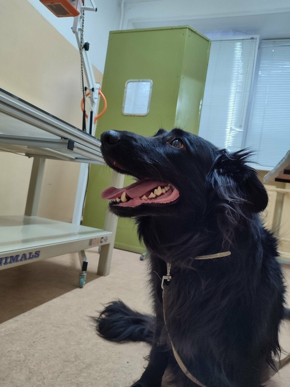 more clinic photos 1170