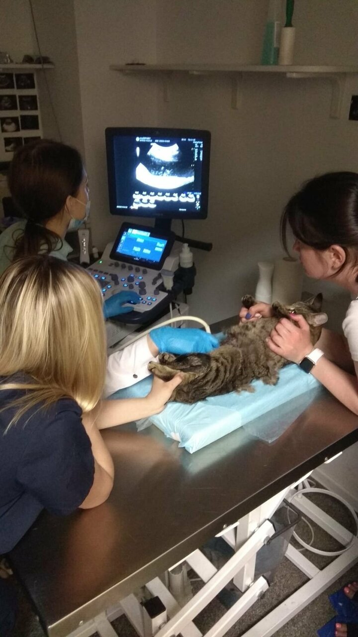 more clinic photos 23695