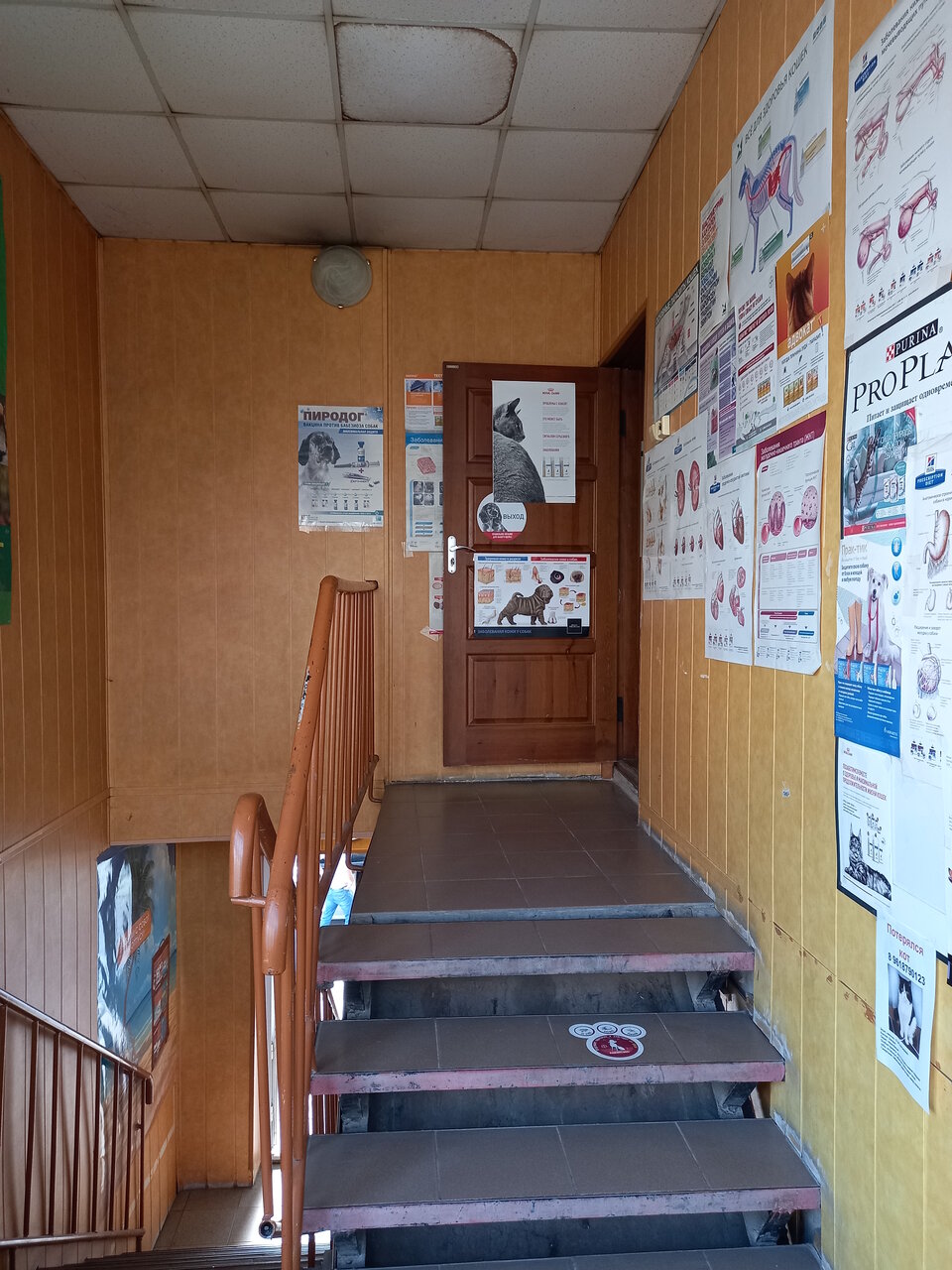 Фото клиники 67738