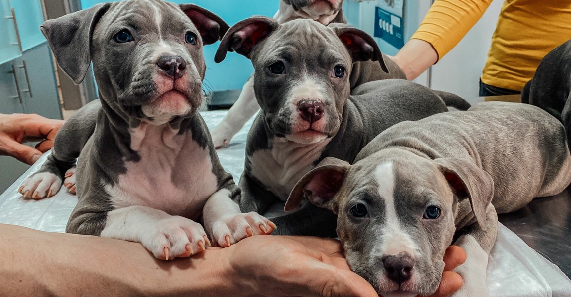 clinic general image