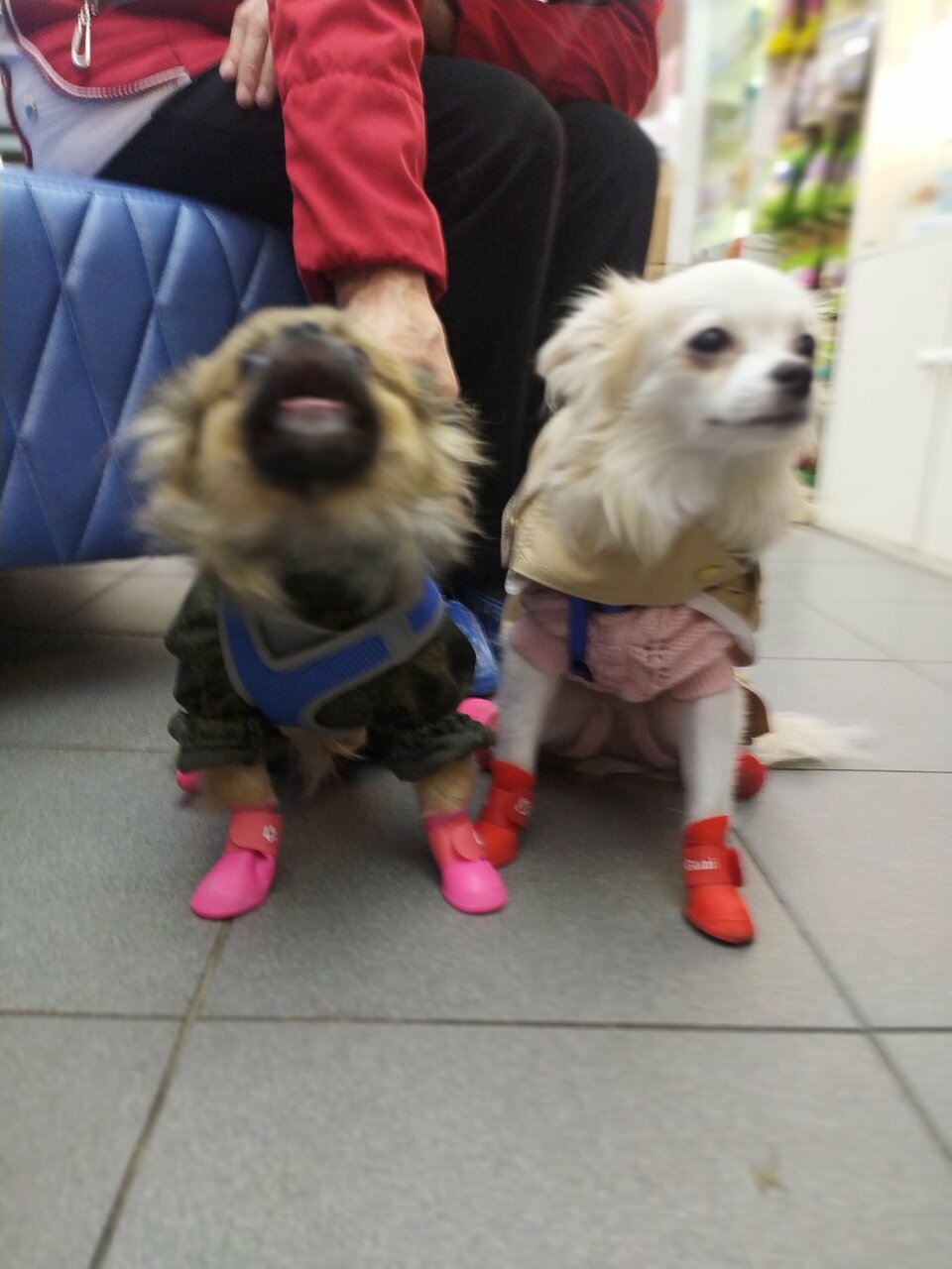 more clinic photos 41059