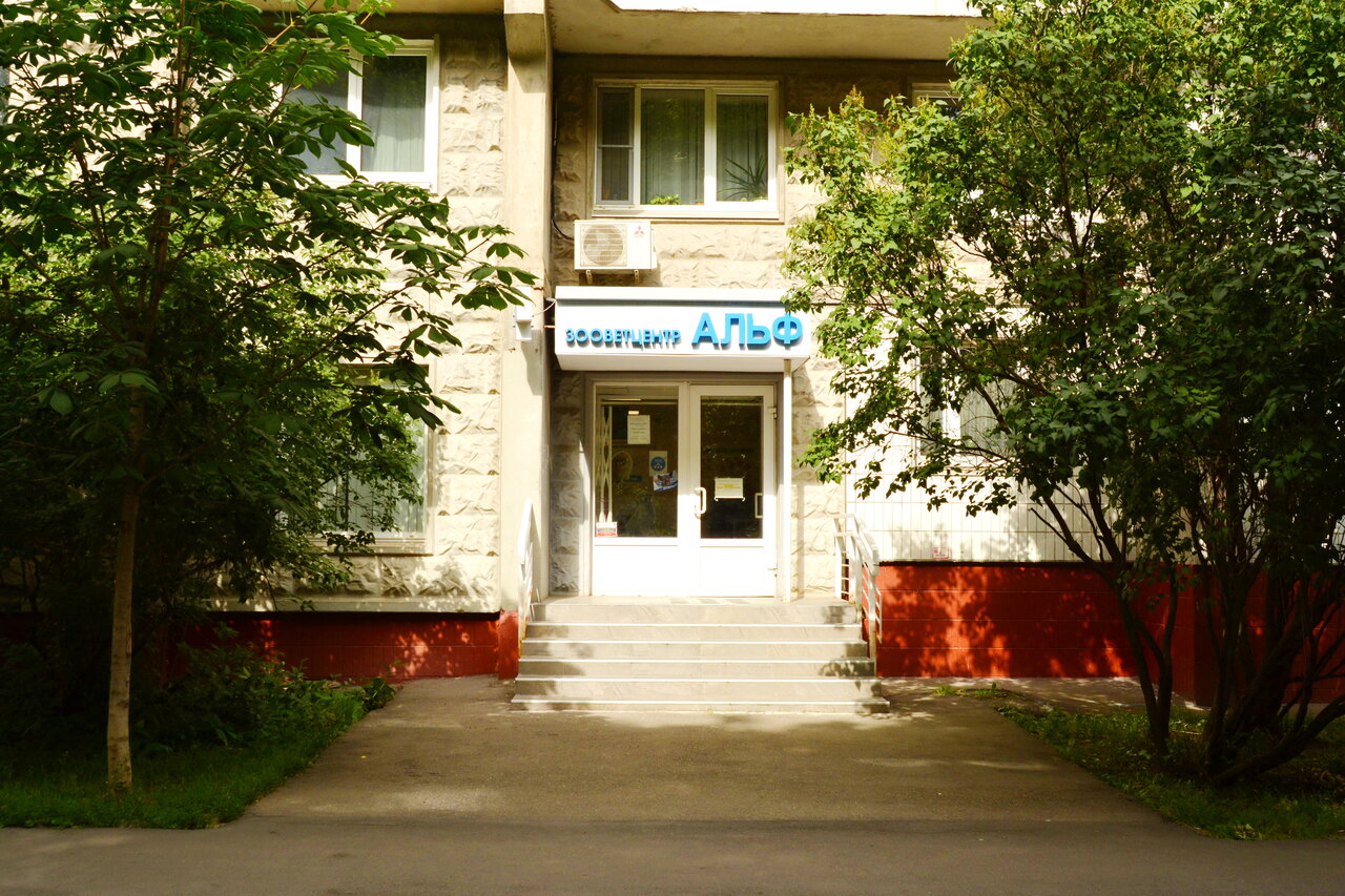 Фото «Альф»