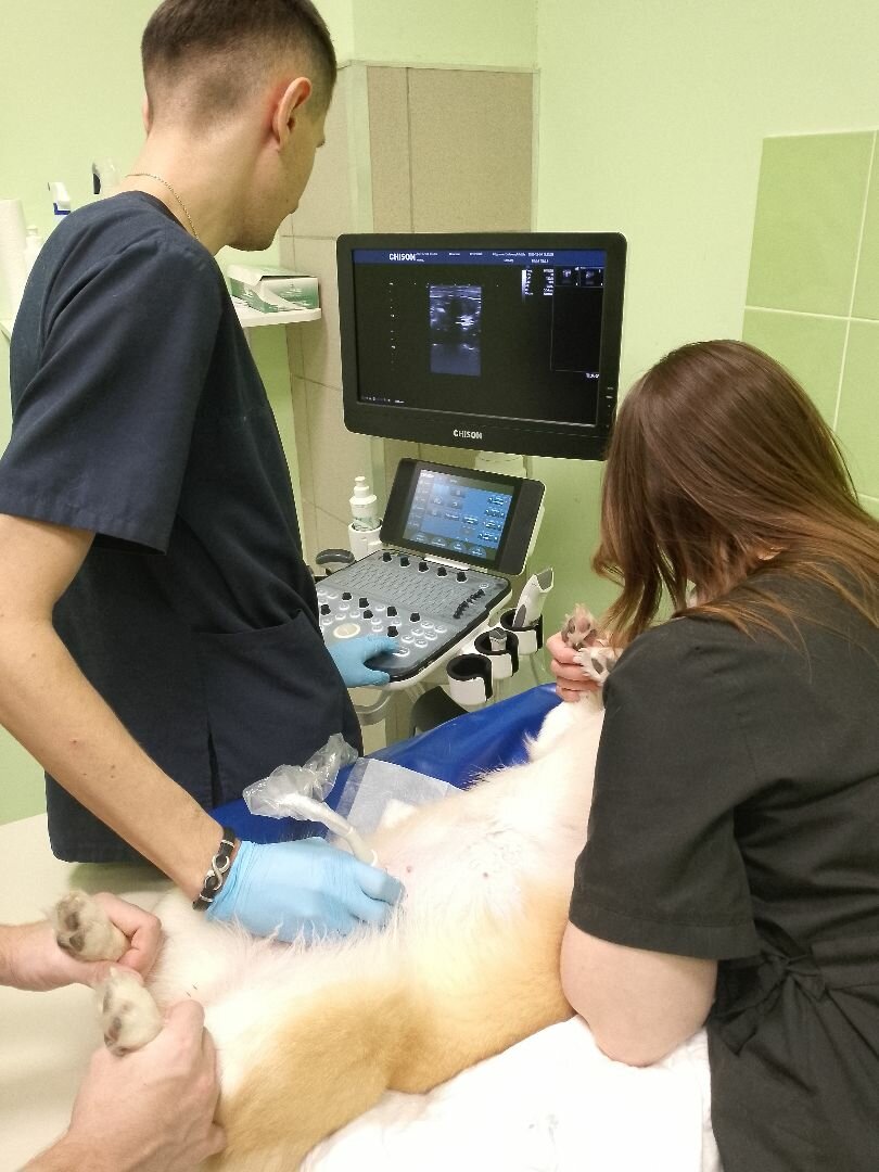 more clinic photos 32848