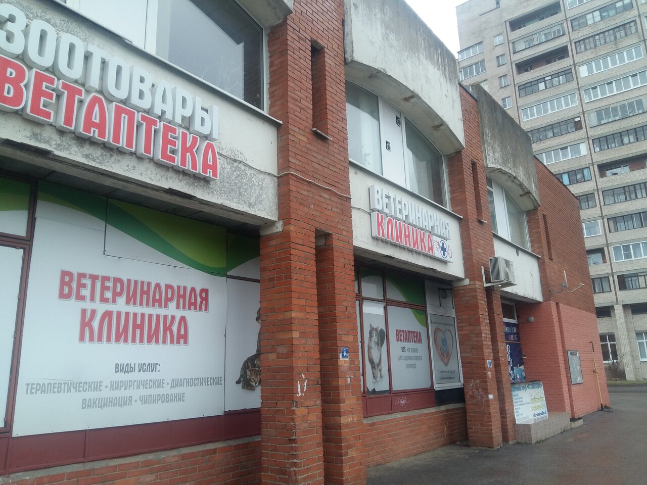 Фото «Докавет»