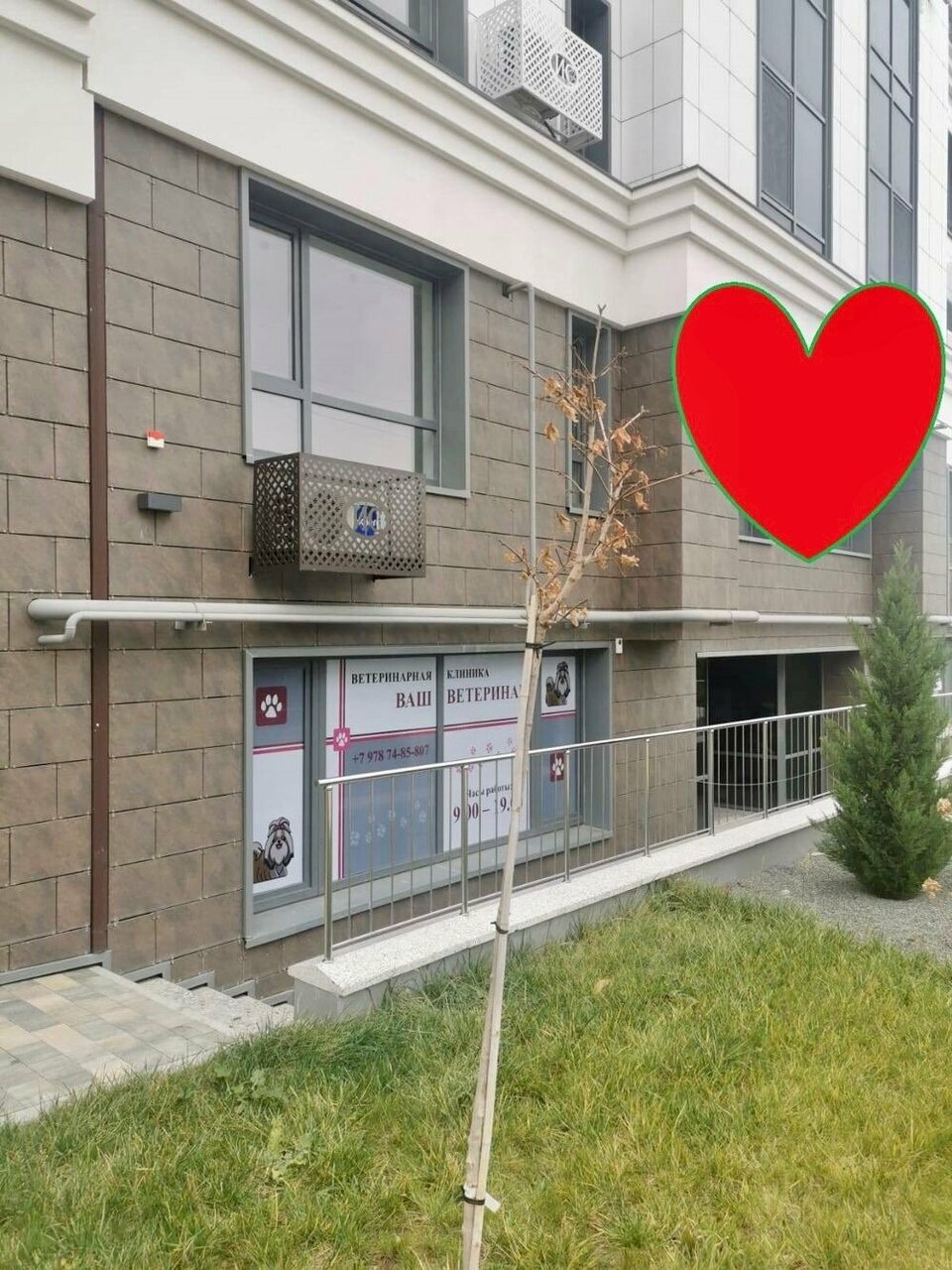 Фото клиники 48794