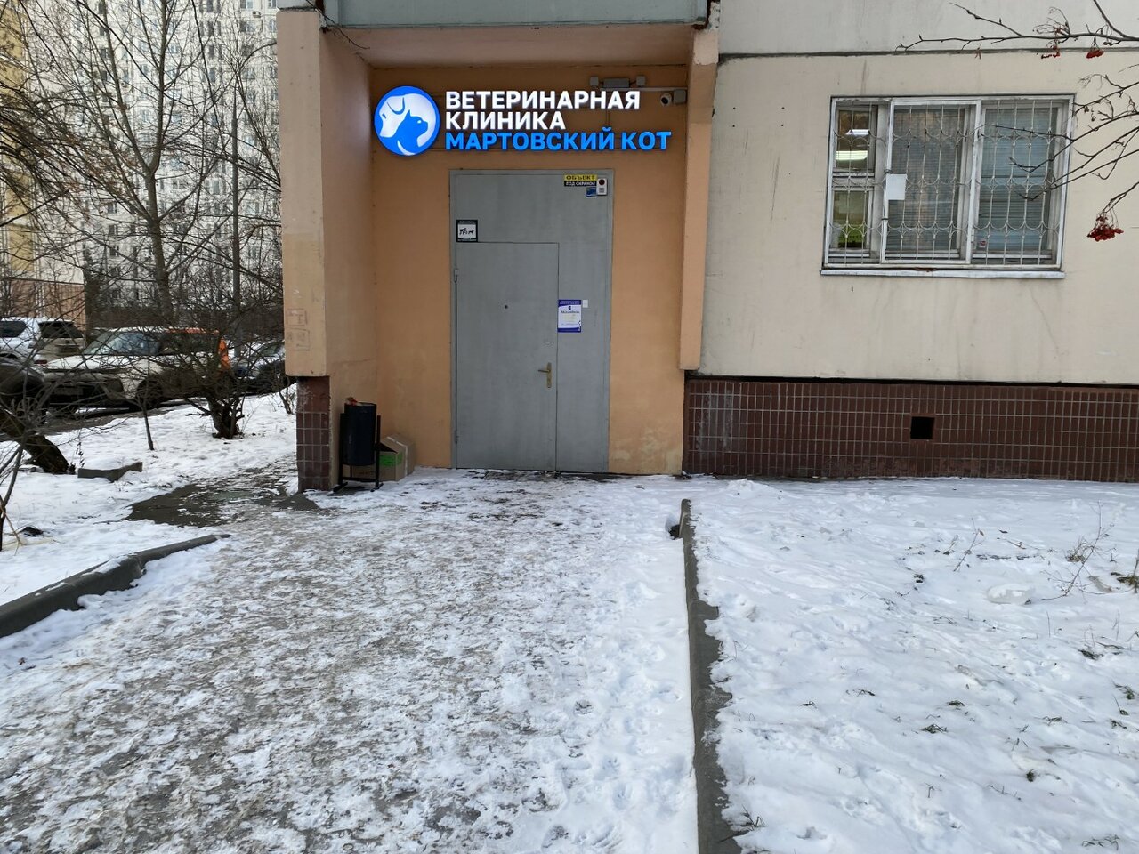 Фото «Мартовский кот»