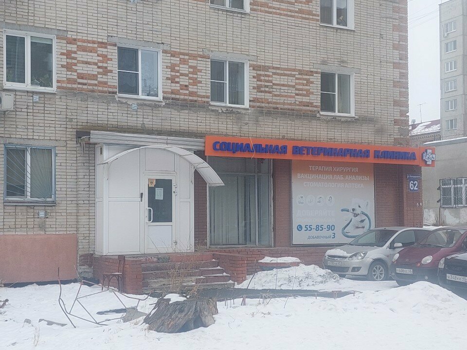 Курганская областная общественная организация защиты животных