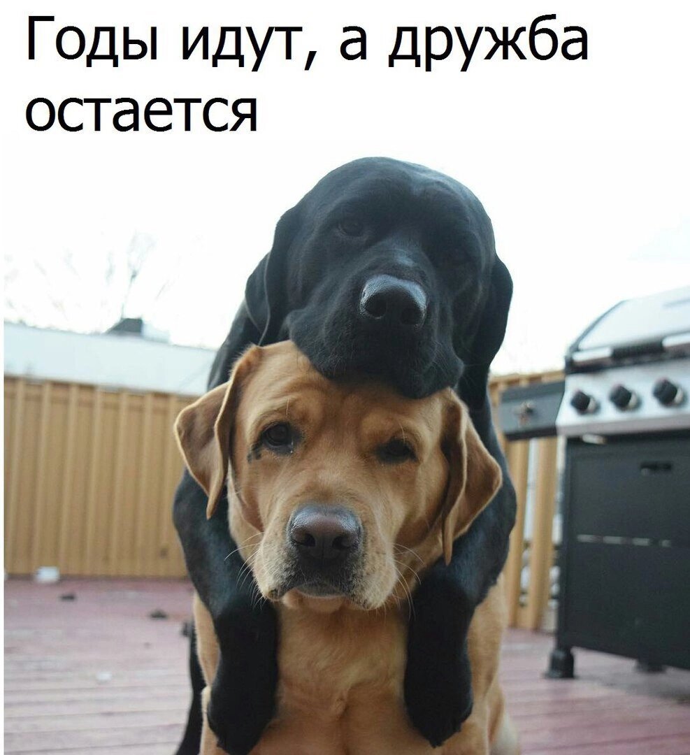 Фото клиники 41973